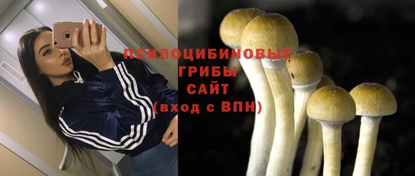 эйфоретик Алексин