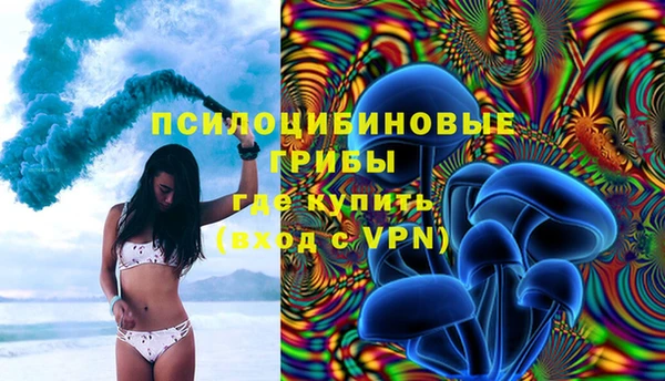 эйфоретик Алексин