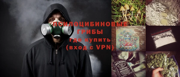 эйфоретик Алексин
