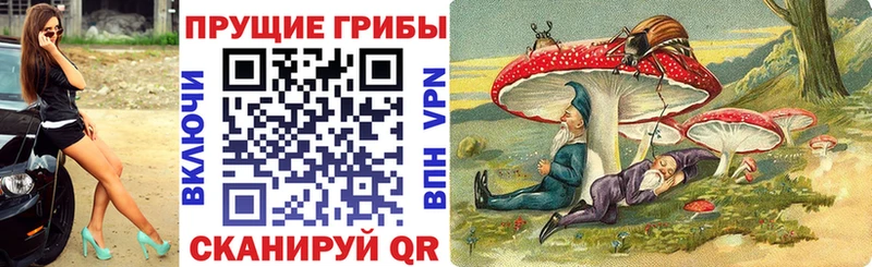 Галлюциногенные грибы мицелий  omg сайт  Нолинск 